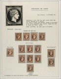 Lot 1341