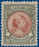 Kavel 2384