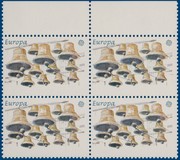 Kavel 2527