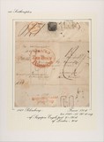 Lot 5060