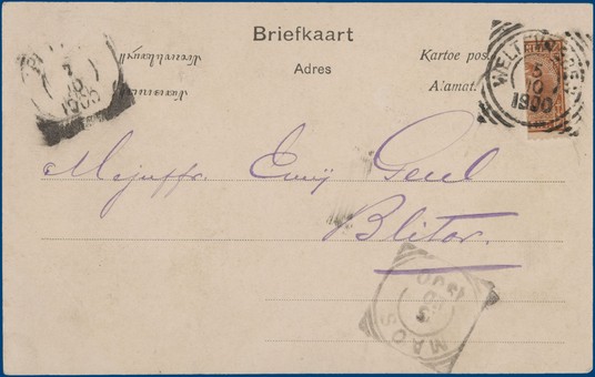 Lot 5134