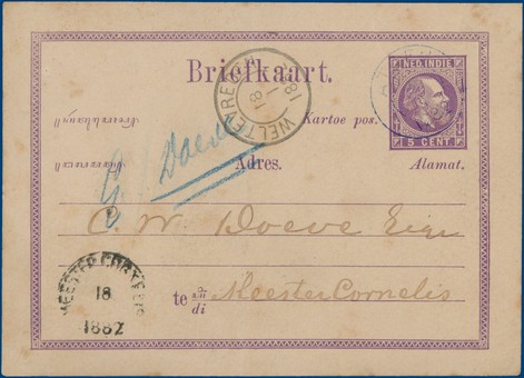Lot 5302