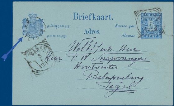 Lot 5318