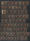 Lot 1269