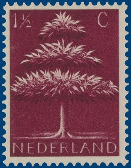 Kavel 2480