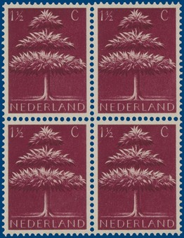 Kavel 2481