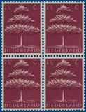 Lot 2481