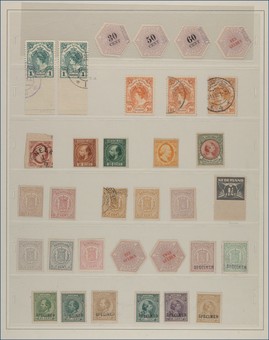 Lot 3006