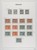Lot 3004 (3)