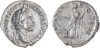 Kavel 45