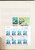 Kavel 2081 (117)
