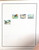 Kavel 2081 (169)