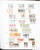 Kavel 2003 (465)