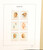 Kavel 1283 (24)