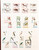 Kavel 1289 (31)