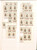 Lot 1307 (117)