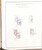 Kavel 1132 (138)