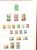 Kavel 1251 (250)