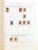 Kavel 1342 (51)