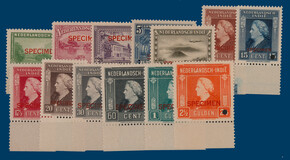 Kavel 4495