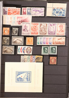 Lot 1019