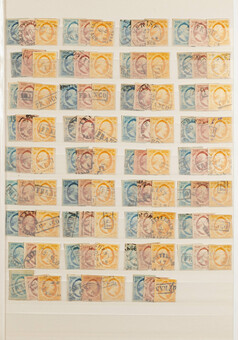 Lot 5007