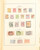 Kavel 5049 (3)