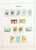 Kavel 5211 (48)