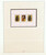 Kavel 5209 (57)