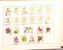 Kavel 1418 (137)