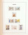 Kavel 1373 (185)