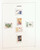 Kavel 1373 (194)