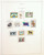 Kavel 5003 (113)