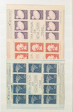 Kavel 1101