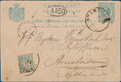 Lot 3137