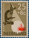 Kavel 4215