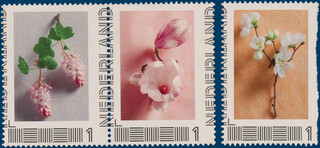 Lot 4246