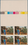 Lot 4507
