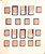 Lot 1243 (15)