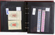 Kavel 1025 (7)