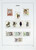 Kavel 1371 (264)