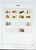 Kavel 1371 (556)