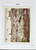Kavel 1371 (658)