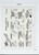 Kavel 1371 (661)