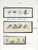 Kavel 1058 (502)