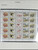 Kavel 1058 (911)