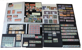 Lot 2137