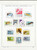 Kavel 2281 (324)
