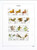 Kavel 2281 (825)