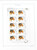 Kavel 2281 (843)